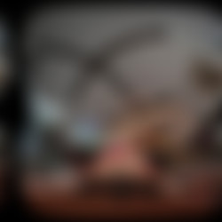 VRCONK_Gizelle Blanco_moana_a_porn_parody_8K_180x180_3dh.mp4