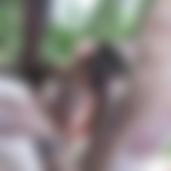 Luna Rival assfucked & creampied on a picnic in the park SZ1479 (4k).mp4