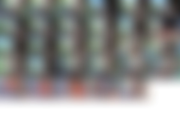 TeasersVOD.com - 2010 Video Siterip/2010-01-01 - April O'Neil/AO-Cafe2-Hi.mov